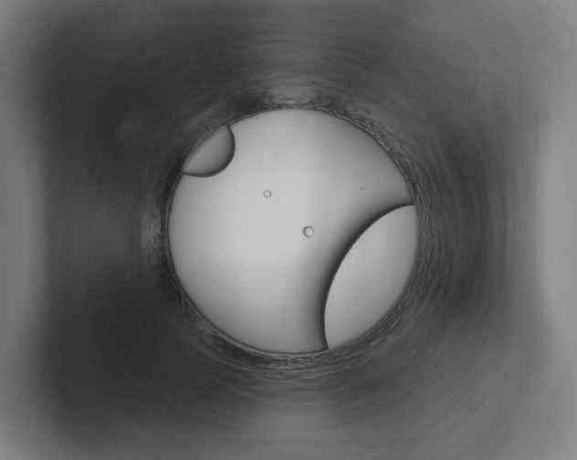 X0000102400745200808010955