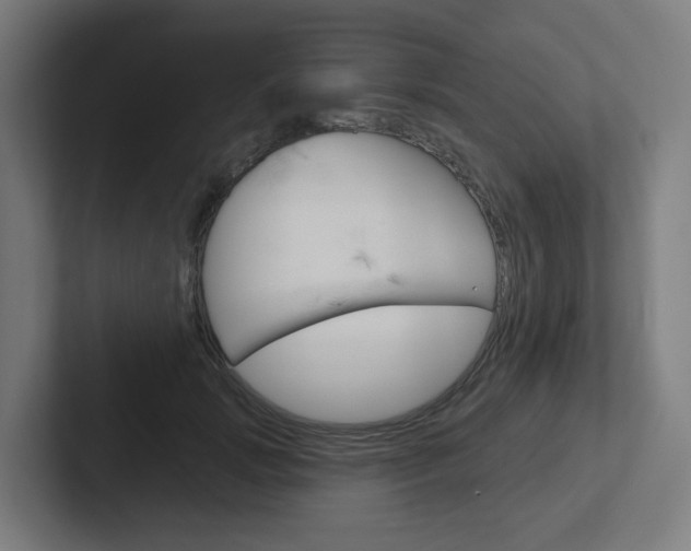 X0000102400749200808010955