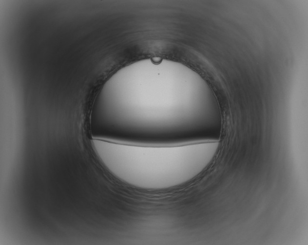 X0000102400750200808010955