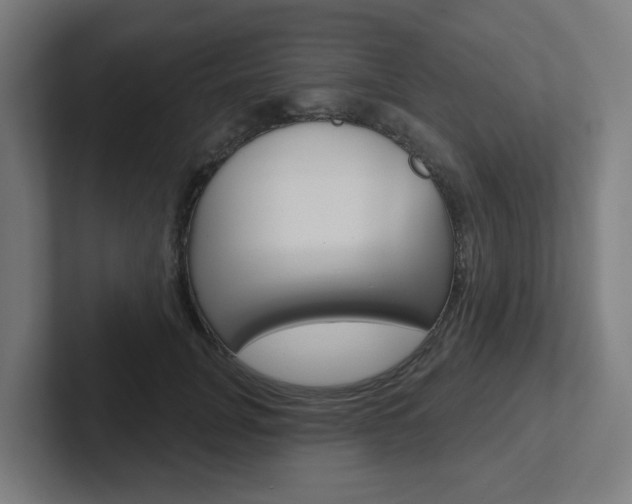 X0000102400751200808010955
