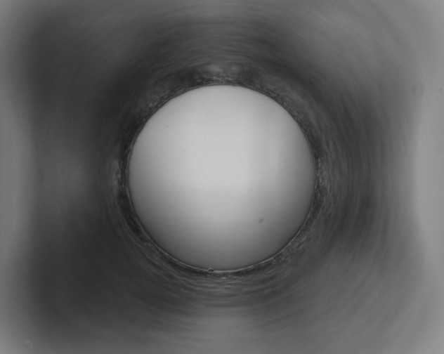 X0000102400752200808010955