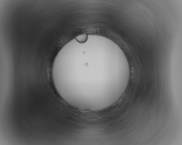 X0000102400753200808010955