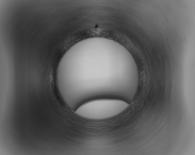X0000102400754200808010955