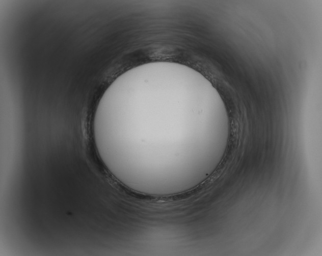 X0000102400755200808010955