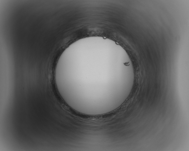 X0000102400756200808010955