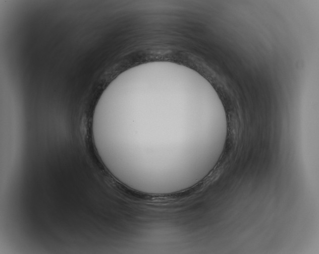 X0000102400758200808010955