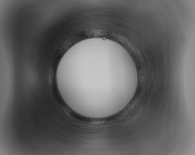 X0000102400760200808010955