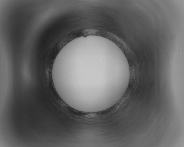 X0000102400761200808010955