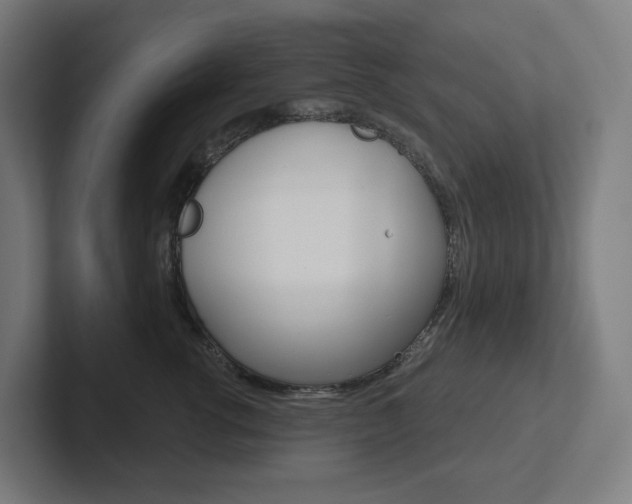 X0000102400762200808010955
