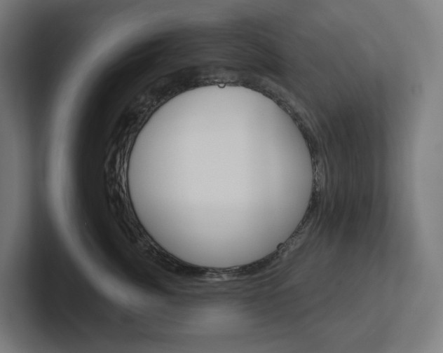 X0000102400764200808010955