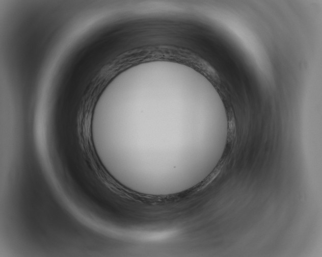 X0000102400765200808010955
