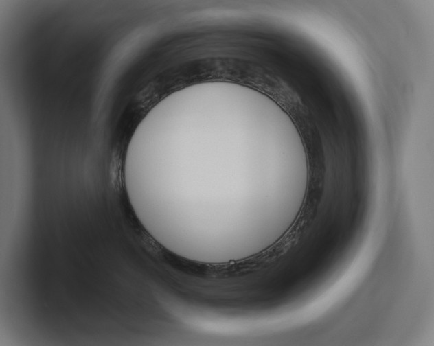 X0000102400766200808010955