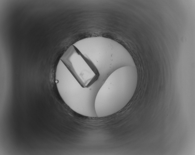 X0000102400768200808010955