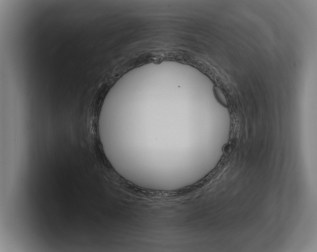 X0000102400770200808010954