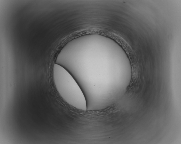 X0000102400773200808010954