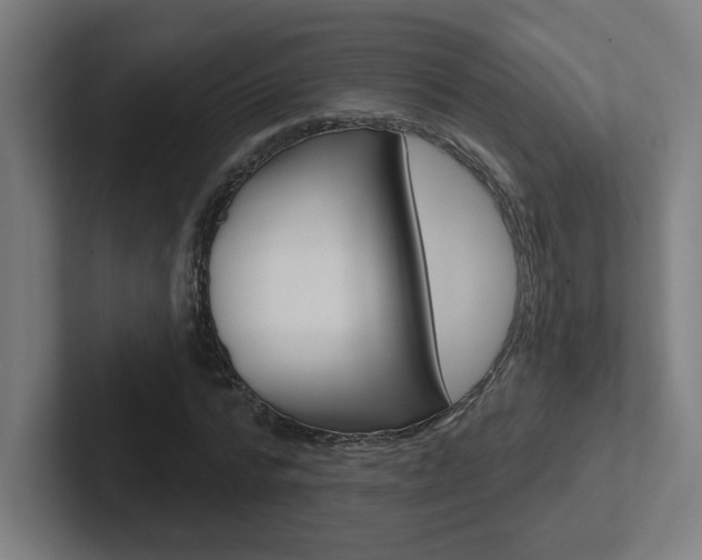 X0000102400776200808010954
