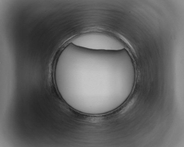 X0000102400778200808010954