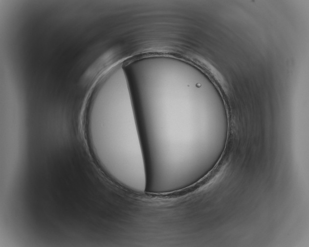 X0000102400779200808010954