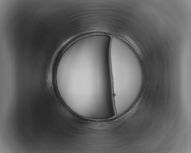 X0000102400780200808010954
