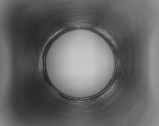 X0000102400782200808010954