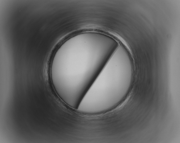 X0000102400783200808010954