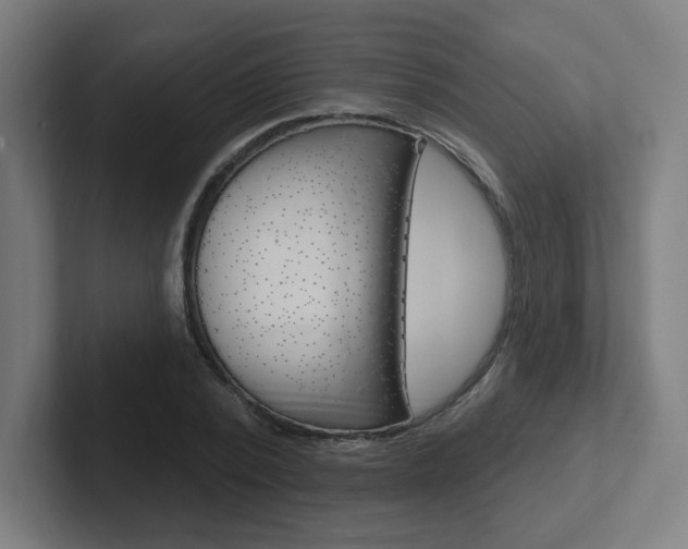 X0000102400784200808010954