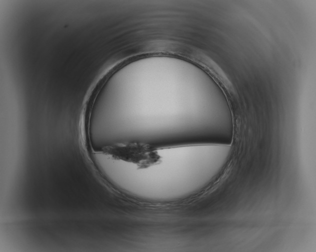 X0000102400788200808010954