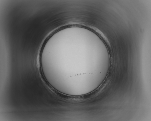 X0000102400791200808010954