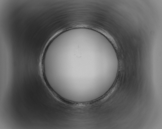 X0000102400806200808010954