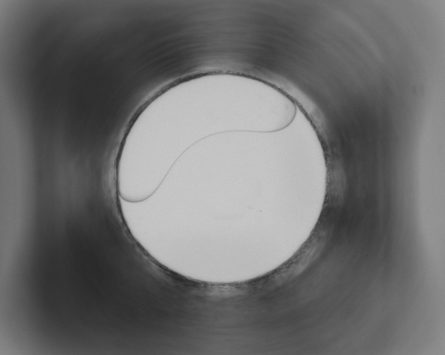 X0000102400807200808010954