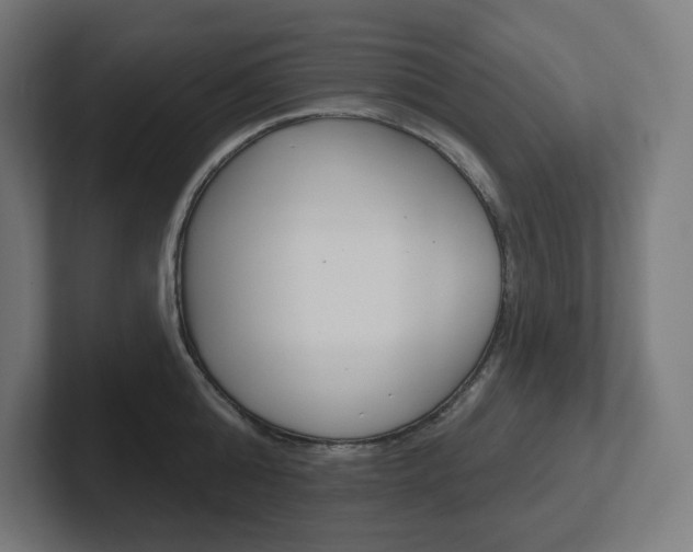 X0000102400808200808010954