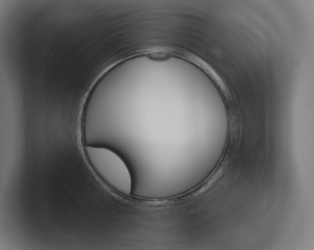 X0000102400810200808010954
