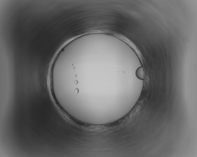 X0000102400811200808010954
