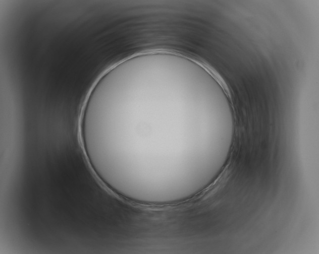 X0000102400813200808010954