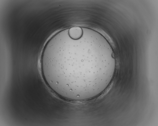 X0000102400814200808010954