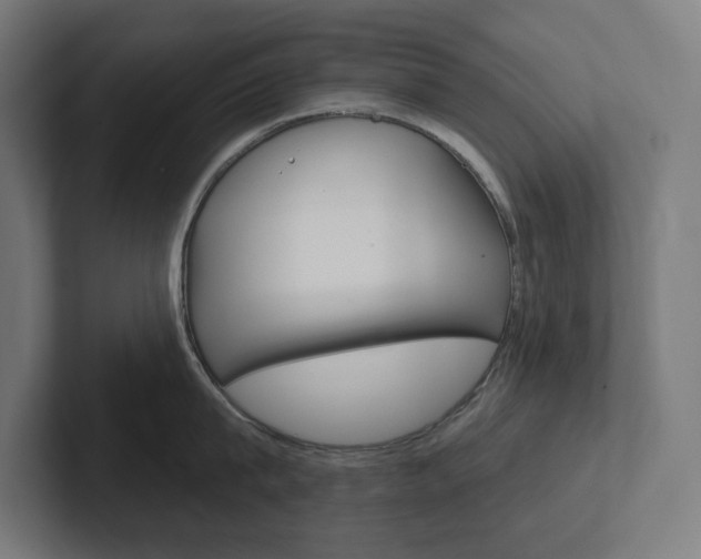 X0000102400815200808010954