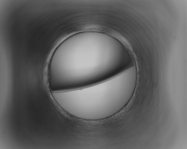 X0000102400816200808010954