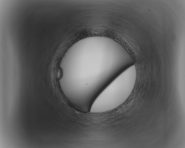X0000102400817200808010953