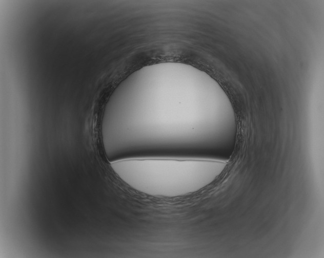 X0000102400818200808010953