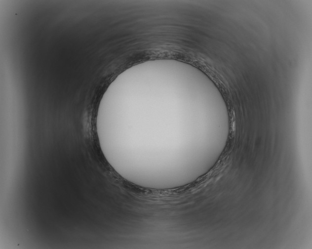 X0000102400819200808010953