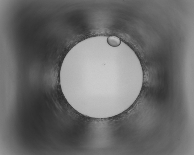 X0000102400820200808010953