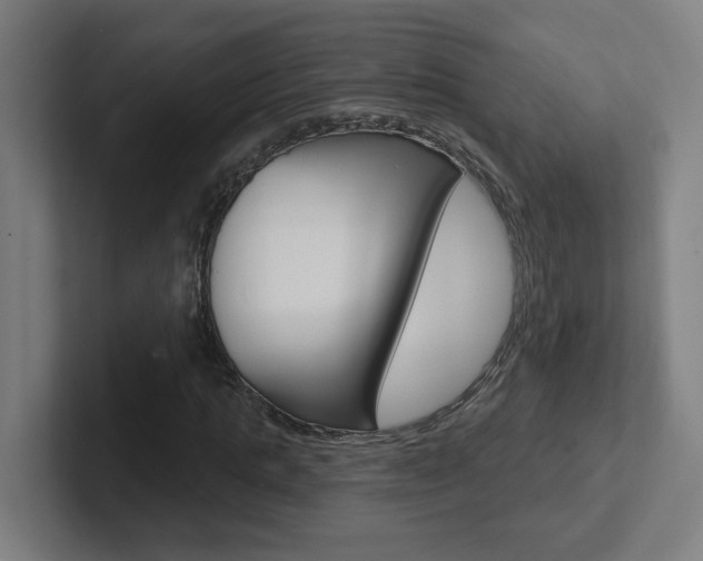 X0000102400821200808010953