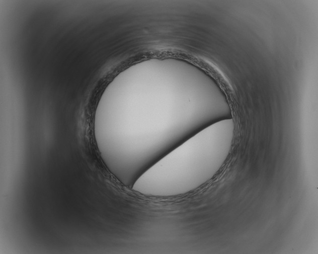 X0000102400823200808010953