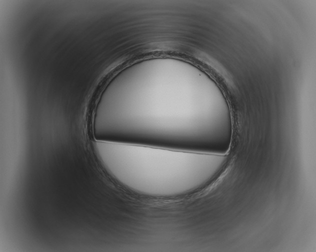 X0000102400826200808010953