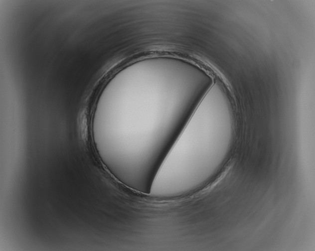 X0000102400829200808010953