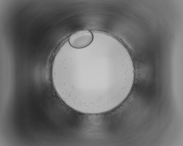 X0000102400832200808010953