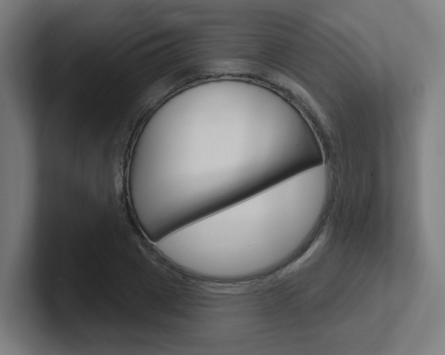 X0000102400833200808010953