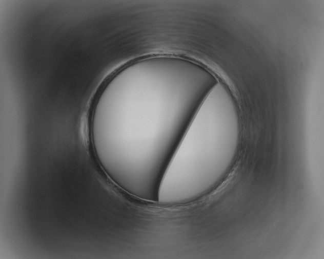 X0000102400838200808010953