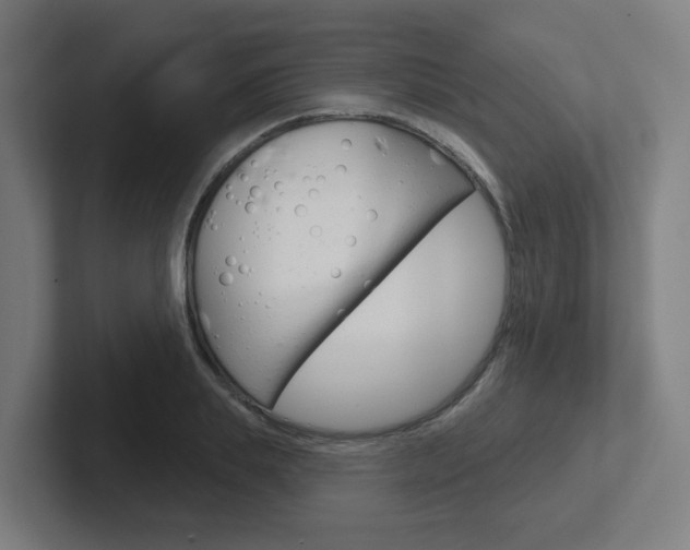 X0000102400839200808010953