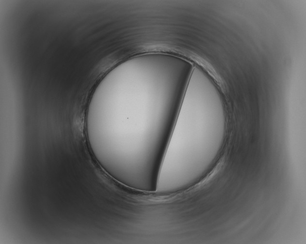 X0000102400841200808010953